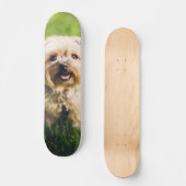 Tabla de Skate Perrito Terrier Adorable Skateboard (Vorderseite)