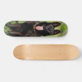 Tabla de Skate Perro Pastor Alemán Negro Sentado Skateboard (Horizontal)