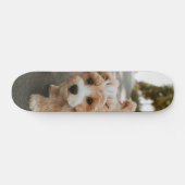 Tabla de Skate Perro Peludo Colores Crema y Blanco Skateboard (Horizontal)
