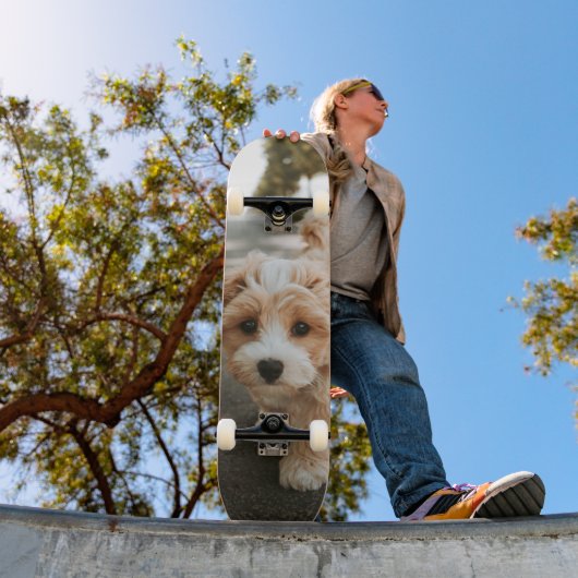 Tabla de Skate Perro Peludo Colores Crema y Blanco Skateboard (Außenbereich 1)