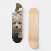 Tabla de Skate Perro Peludo Colores Crema y Blanco Skateboard (Vorderseite)