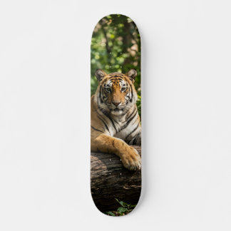 Tabla de Skate Tigre de Bengala en la Naturaleza Skateboard