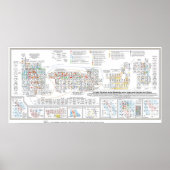 Tabla Periódica de los Elementos Poster (Vorne)