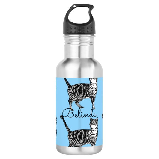 Tablby Cat Whimsical Light Blue Cats Edelstahlflasche (Vorderseite)