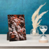 Tabletop Blume Fotoplatte (Seite)