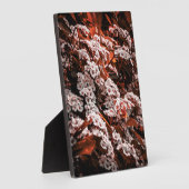 Tabletop Blume Fotoplatte (Seite)