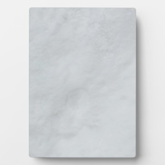 Tabletop Plaque aus weißem Marmor mit Easel Fotoplatte (Vorderseite)
