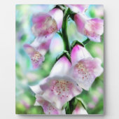 Tabletop Plaque Foxglove Art: Pastellfarben Fotoplatte (Vorderseite)