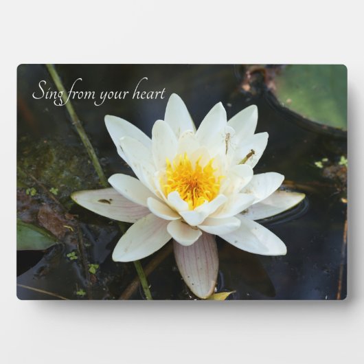 Tabletop Plaque mit Easel Fotoplatte (Vorderseite)