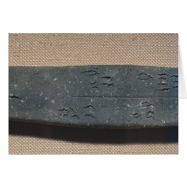 Tablette bei Schafen der Linie B (Vorderseite (Horizontal))