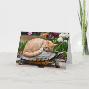 Tablette und Faltkarte für Schildkröten Karte