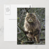 Tablette zum Hausschuhen Tier Postkarte (Vorne/Hinten)