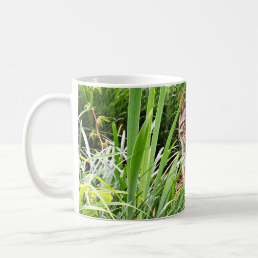 Tablettenkatze im Gras-Foto Kaffeetasse (Links)