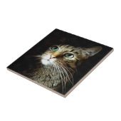 Tablettenkatze mit Abgeschiedenen grünen Augen auf Fliese (Seite)