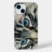 Tablettenkatze mit blauen Augen Nah Case-Mate iPhone Hülle (Rückseite)