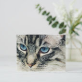 Tablettenkatze mit Blue Eyes Nah-Up Postkarte (Stehend Vorderseite)