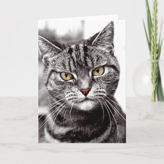 Tablettenkatze mit Höhenkarte Karte (Vorderseite)
