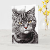 Tablettenkatze mit Höhenkarte Karte (Gelbe Blume)