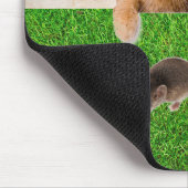 Tablettenkatze Nach Niedlicher Maus, Gras Mousepad (Ecke)