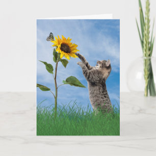 Tablettenkatze zum Geburtstag von Sonnenblumen Karte