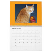 Tablettenkatzen Kalender (Feb 2027)
