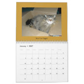 Tablettenkatzen Kalender (Jan 2027)