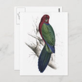 Tabuan Parrakeet von Edward Lear Postkarte (Vorne/Hinten)