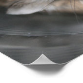 Tac stare - Poster (Ecke)