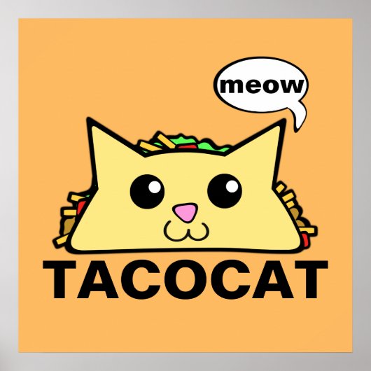 Taco Cat Poster (Vorne)