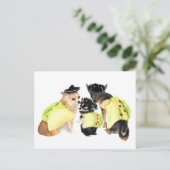 Taco Chihuahuas Postkarte (Stehend Vorderseite)