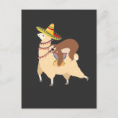 Taco Love Animals Lazy Sloth Riding Llama Postkarte (Vorderseite)