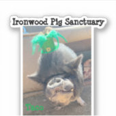 Taco St. Patrick's Stickers Aufkleber (Vorderseite)