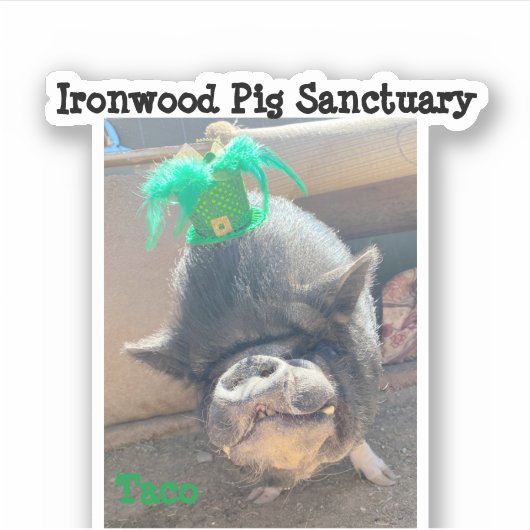 Taco St. Patrick's Stickers Aufkleber (Vorderseite)