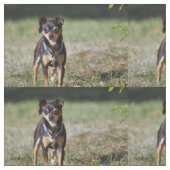 Taco Stoff (Nahaufnahme)