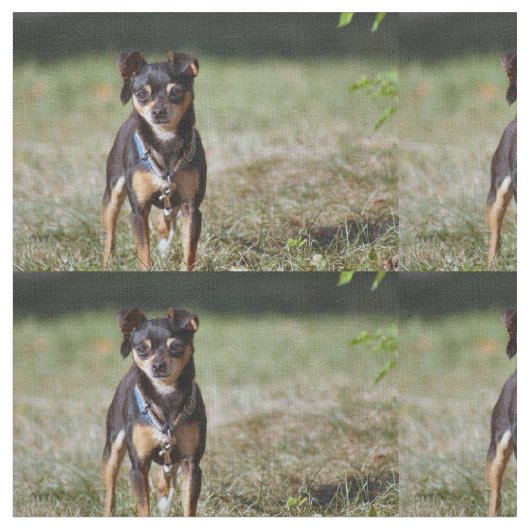 Taco Stoff (Nahaufnahme)