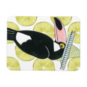 Taco über Liebe | Toucan Sombrero Magnet (Horizontal)