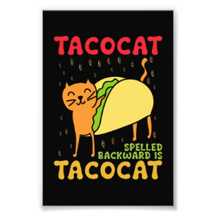 Tacocat Rückwärts geschrieben Tacos Katzen Cinco D Fotodruck