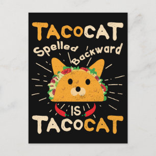 Tacocat Spelled Backwards Cinco de Mayo Cat Taco Postkarte