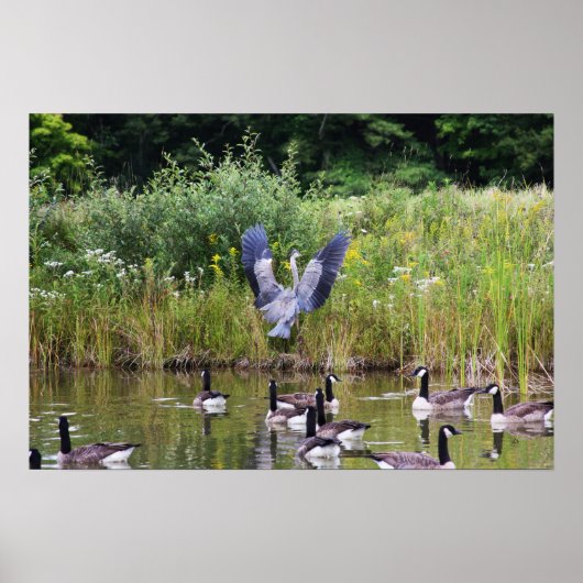 TADA! POSTER (Vorne)