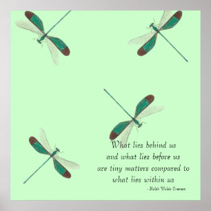 Tadellose Libellen, was hinter uns liegt Poster