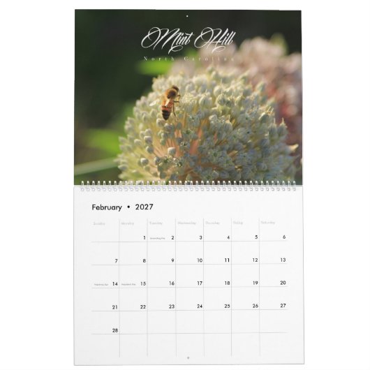 Tadelloser Hügelkalender Kalender (Feb 2027)