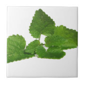 Tadelloses Blatt Fliese (Vorderseite)