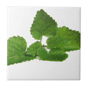 Tadelloses Blatt Fliese