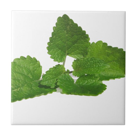 Tadelloses Blatt Fliese (Vorderseite)