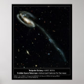 Tadpole Galaxy Hubble Telescope Foto Poster (Vorne)