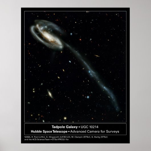 Tadpole Galaxy Hubble Telescope Foto Poster (Vorne)