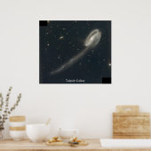 Tadpole Galaxy Poster (Küche)