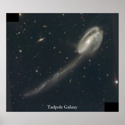 Tadpole Galaxy Poster (Vorne)