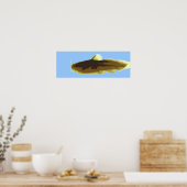 Tadpole Madtom Catfish Poster (Küche)