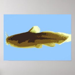 Tadpole Madtom-Wels Poster